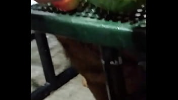 Porn, Teen, Interracial, Milf, Slut, Curvy, Deepthroat, Ebony, Gag, Gangbang, Bdsm, Bukkake, Banana, - Teen - 2025 - Intense - Scene - Video 3065694