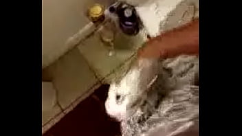 Phat-big-clean, Wash-up - Unknown - 2025 - Amazing - Performance - Video 3343976