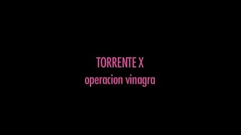 Torrente X - Operacion Vinagra