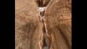 A Natureza é Linda - pussy, nature - Video 3055221