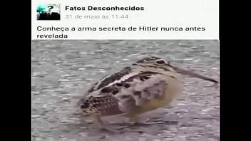 Arma Secreta De Hitler