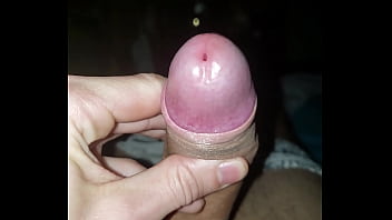 Shemale, Gozada, Pauzao - Shemale - 2025 - Wild - Scene - Video 3322141