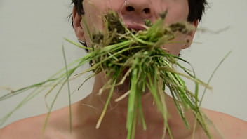 Mouthful Of Earth: Softening Blades