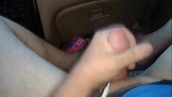 Unknown - 2025 - Wild - Experience - Video 3244898