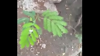 Party, College - Orgy - 2025 - Intense - Performance - Video 3201001