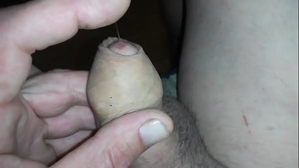 Mein Schwanz Ist Feucht