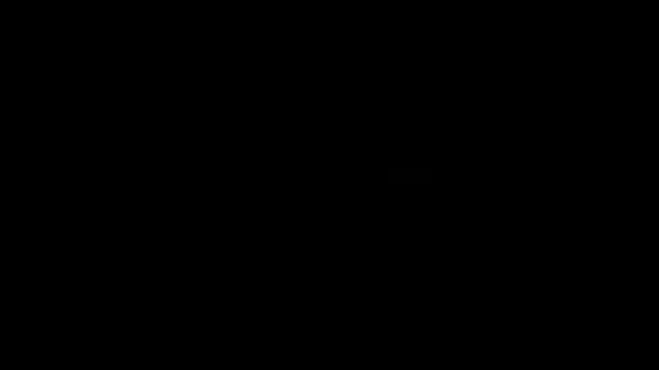 Vídeo De Verificación - verification-video - Video 3016115