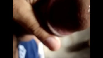 Para Campinas E Região