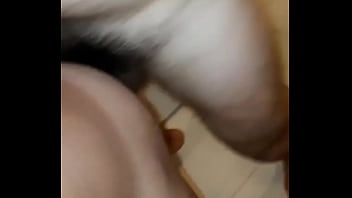 Lipeputinho E Cavalo Branco