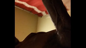 Pov, Bbc, Soloboy, Black-cock - Unknown - 2025 - Amazing - Scene - Video 3183614