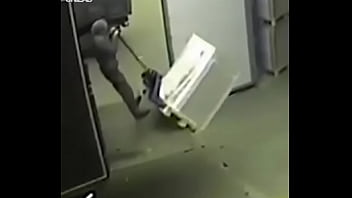 Pajaro Que Come Vuela