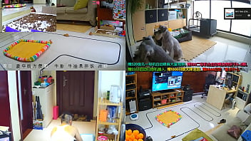 Chinese, Live, Douyu, 246208 - Asian_woman - 2025 - Sexy - Show - Video 3215060