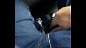 Mostrando Pau No _nibus