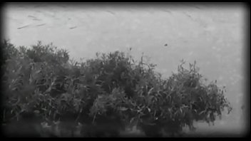 Dildo, Masturbation, Solo, Tranny, Shemale, Fourth, Malycile, Malyfour - Shemale - 2025 - Amazing - Experience - Video 3208657