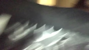 Picked Up Cougar At Local Walmart