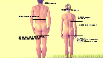 Shemale Aanatomy(some Kind Of Sissy-trainer)