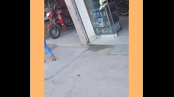 Mis Latinas Sudamericanas - shemale, hello, deleite - Video 3193519