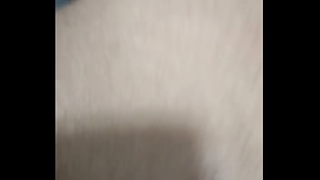 Urso Dando No Shopping De Nova Iguaçu