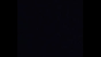 Shemale, Sissy, 559 - Shemale - 2025 - Wild - Scene - Video 3184223