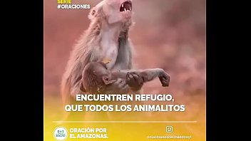 Ass, Amantes - Ass - 2025 - Amazing - Scene - Video 3190456