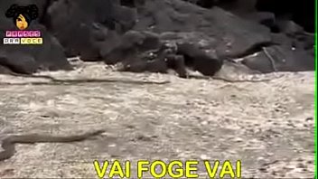 Fode Essa Buceta Selvagem