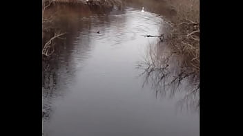 El-duque, Quail-egg - Unknown - 2025 - Sexy - Session - Video 3172341