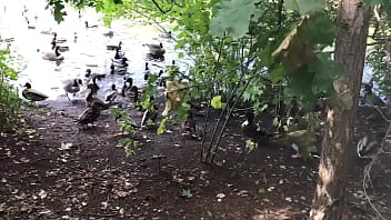 Lee Stone - Lee-stone, Ron-de-jeremy - Unknown - 2025 - Sexy - Experience - Video 3133917