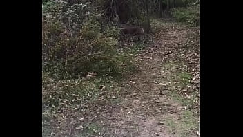 Bbc, The-negroe-stole-the-wallet - Unknown - 2025 - Sexy - Show - Video 3132585