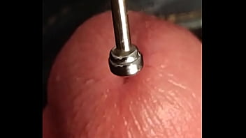 Small Antenna In My Penis