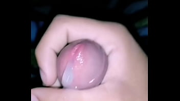 Lechita Para Su Gatita