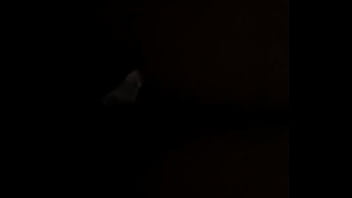 Alexis Texas ? Kelsie Monroe ?