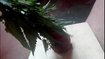 Cock, Cbt, Soloboy, Nettle - Unknown - 2025 - Wild - Experience - Video 2918686