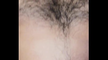 Video Di Verifica - verification-video - Video 3147558