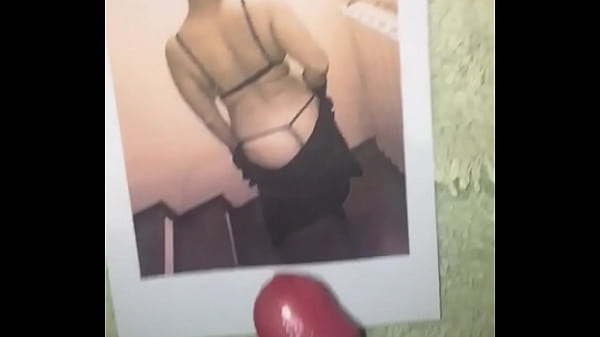 Un Altro Tributo A Ele