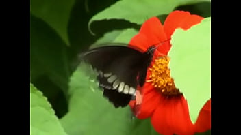 Unknown - 2025 - Passionate - Session - Video 6577709