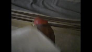 cum shot 2 - Cumshot-masturbation-jackingoff-soloboy