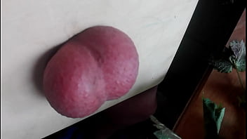 Cock, Amateur, Bdsm, Balls, Cbt, Soloboy, Nettle - Amateur - 2025 - Passionate - Session - Video 3122802