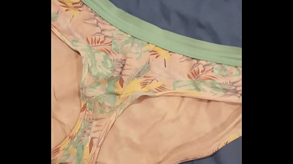 Quick Cum On Sister' Panties