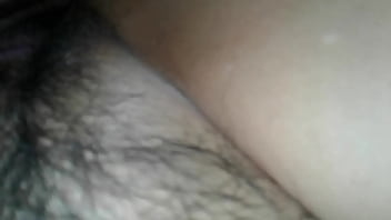 Hoy Presentamos Mi Prosty