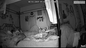 Dogmanandcatgirl - Homemade-big-ass-big-cock