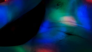 Masturbation, Big-cock, Soloboy, Discolights, Shaunbuzzy - Unknown - 2025 - Sexy - Experience - Video 3118028