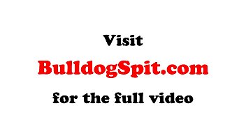 English Stud Doggystyle Drilled On All Fours