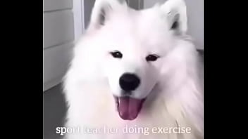 Girl Fucks Doggiestyle