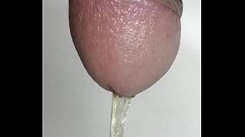 Otra Meada De Mi Pene