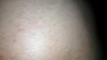 Bien Perra La Gordita