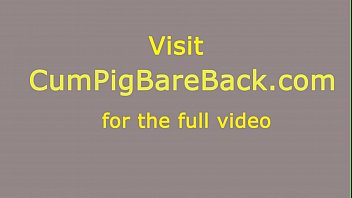 Big Black Bear Mounts Bears Butt And Rides