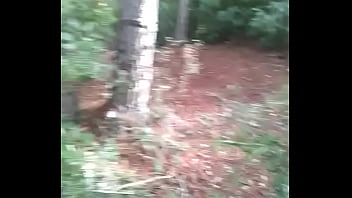 Outdoor, Masturbate, Gay, Showing, Cruising - Gay - 2025 - Passionate - Experience - Video 3062912