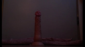 Amateur - Amateur - 2025 - Wild - Scene - Video 6342019