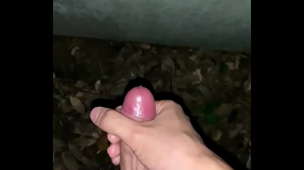 Gay, Japanese, Penis - Gay - 2025 - Steamy - Experience - Video 3051423