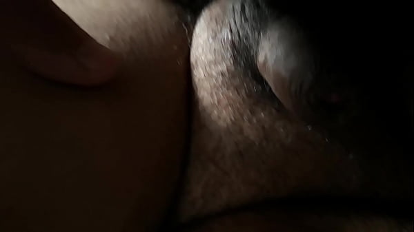 Nada Como Um Urso Ii